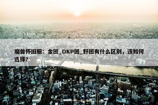 魔兽怀旧服：金团_DKP团_野团有什么区别，该如何选择？