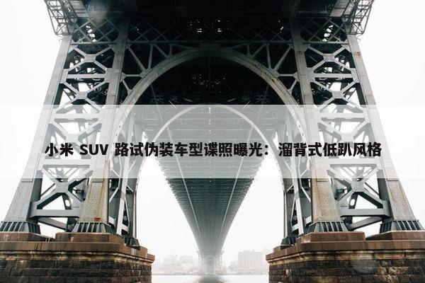 小米 SUV 路试伪装车型谍照曝光：溜背式低趴风格