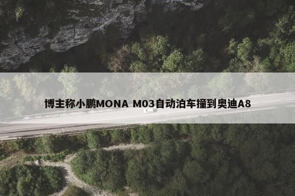 博主称小鹏MONA M03自动泊车撞到奥迪A8