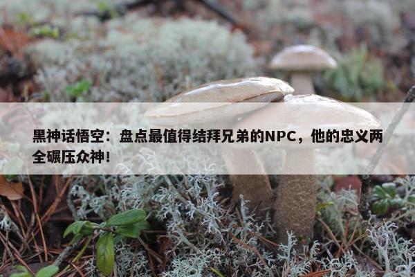 黑神话悟空：盘点最值得结拜兄弟的NPC，他的忠义两全碾压众神！