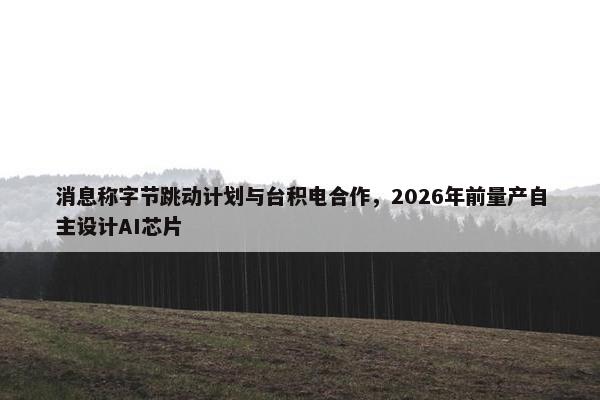 消息称字节跳动计划与台积电合作，2026年前量产自主设计AI芯片