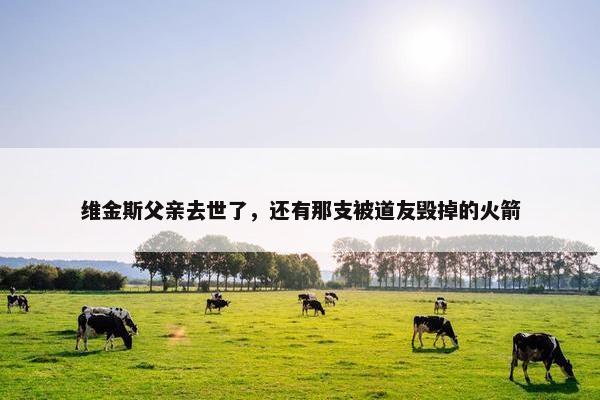 维金斯父亲去世了，还有那支被道友毁掉的火箭