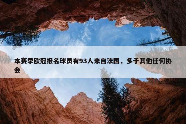 本赛季欧冠报名球员有93人来自法国，多于其他任何协会