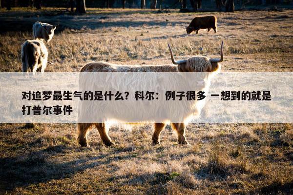 对追梦最生气的是什么？科尔：例子很多 一想到的就是打普尔事件