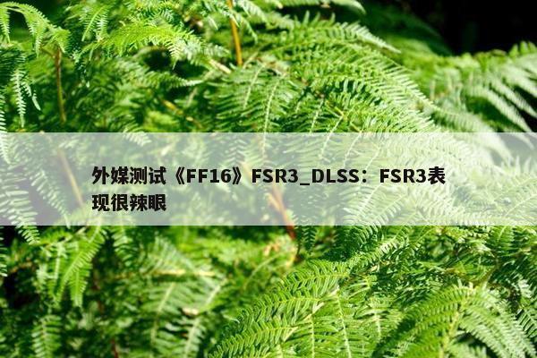 外媒测试《FF16》FSR3_DLSS：FSR3表现很辣眼