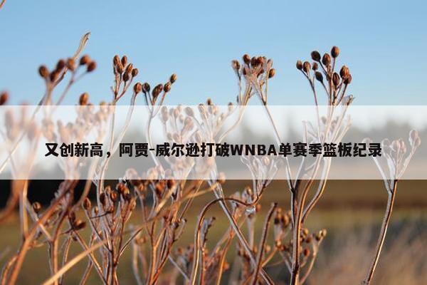 又创新高，阿贾-威尔逊打破WNBA单赛季篮板纪录