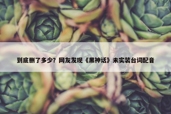 到底删了多少？网友发现《黑神话》未实装台词配音