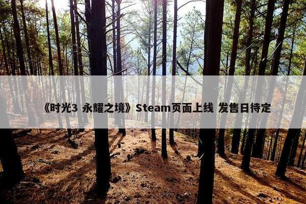 《时光3 永耀之境》Steam页面上线 发售日待定