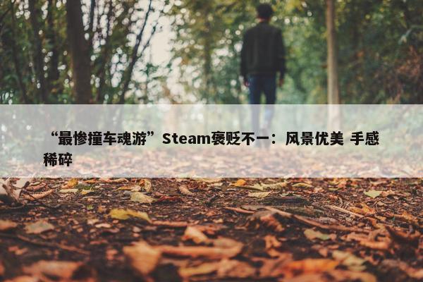 “最惨撞车魂游”Steam褒贬不一：风景优美 手感稀碎