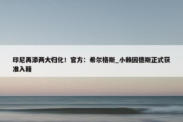 印尼再添两大归化！官方：希尔格斯_小赖因德斯正式获准入籍