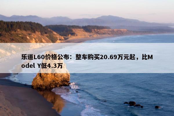 乐道L60价格公布：整车购买20.69万元起，比Model Y低4.3万