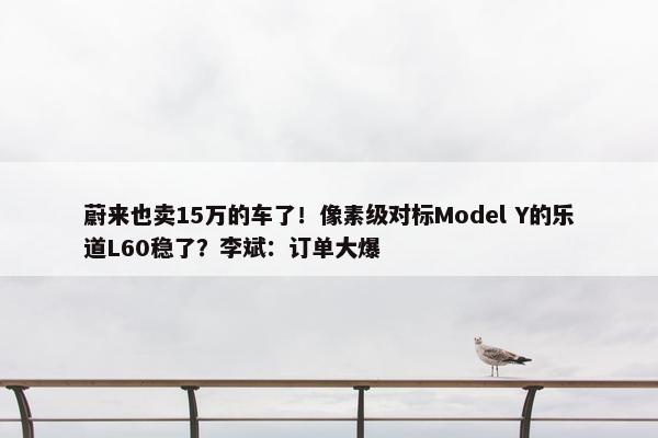 蔚来也卖15万的车了！像素级对标Model Y的乐道L60稳了？李斌：订单大爆