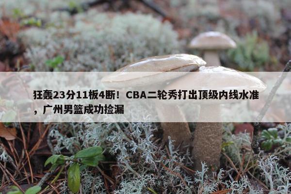 狂轰23分11板4断！CBA二轮秀打出顶级内线水准，广州男篮成功捡漏