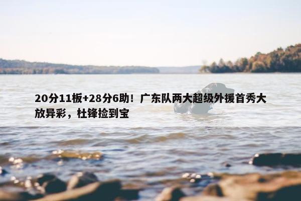 20分11板+28分6助！广东队两大超级外援首秀大放异彩，杜锋捡到宝