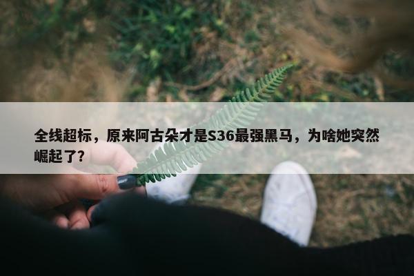 全线超标，原来阿古朵才是S36最强黑马，为啥她突然崛起了？