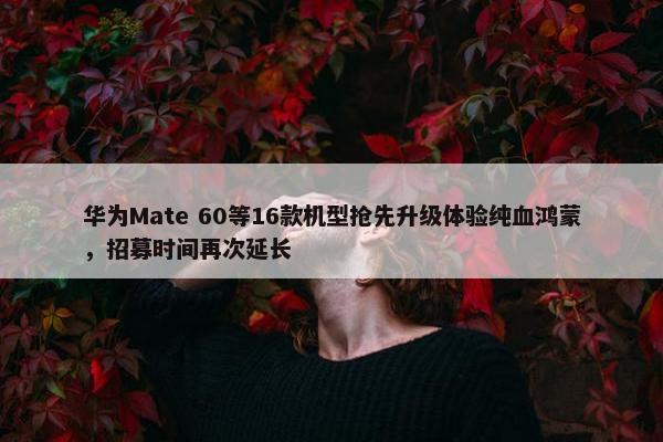 华为Mate 60等16款机型抢先升级体验纯血鸿蒙，招募时间再次延长