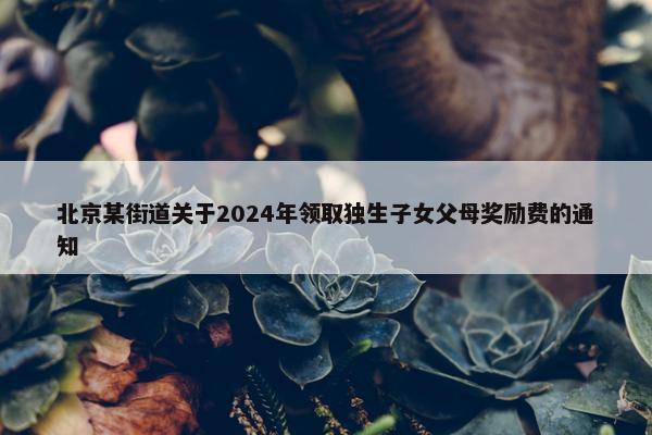 北京某街道关于2024年领取独生子女父母奖励费的通知