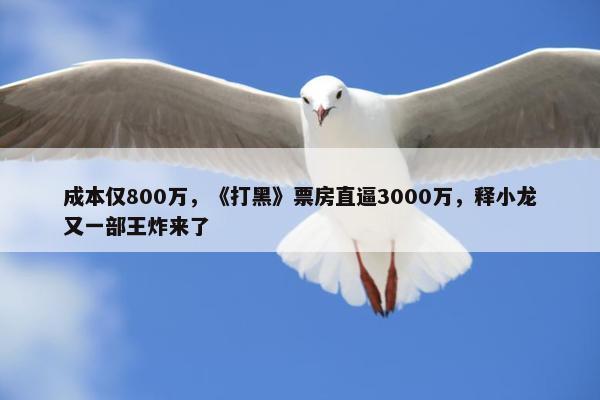 成本仅800万，《打黑》票房直逼3000万，释小龙又一部王炸来了