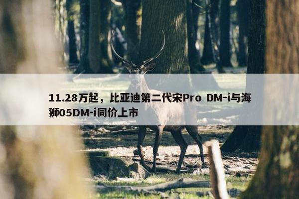 11.28万起，比亚迪第二代宋Pro DM-i与海狮05DM-i同价上市