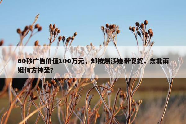 60秒广告价值100万元，却被爆涉嫌带假货，东北雨姐何方神圣？