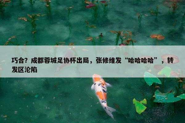 巧合？成都蓉城足协杯出局，张修维发“哈哈哈哈”，转发区沦陷