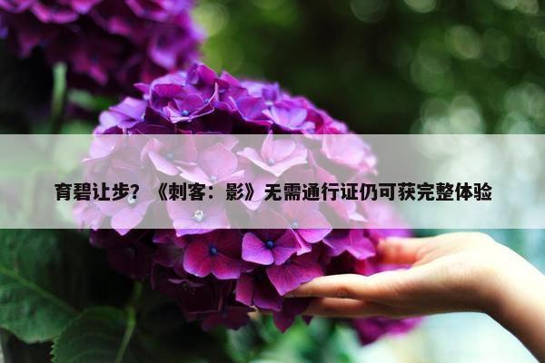 育碧让步？《刺客：影》无需通行证仍可获完整体验