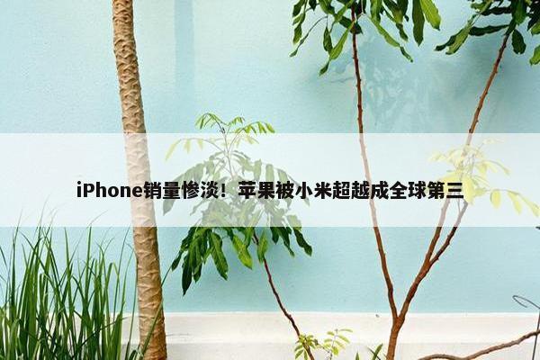 iPhone销量惨淡！苹果被小米超越成全球第三