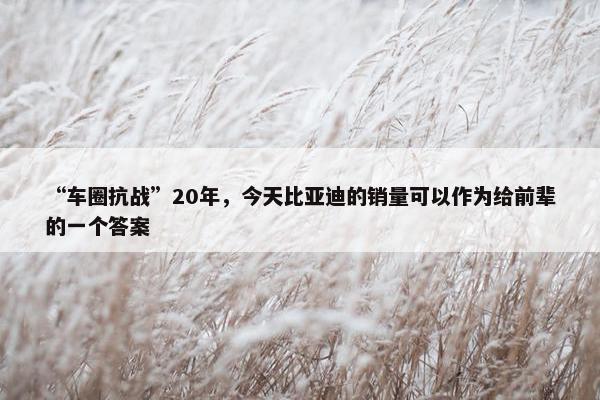 “车圈抗战”20年，今天比亚迪的销量可以作为给前辈的一个答案