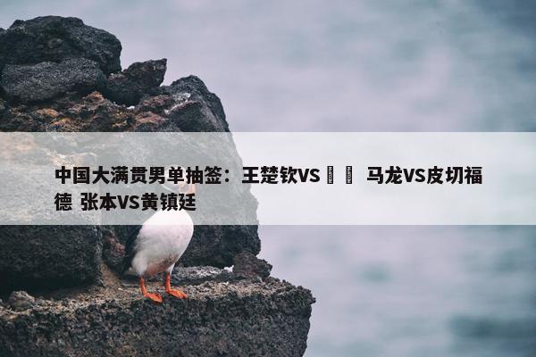 中国大满贯男单抽签：王楚钦VS篠塚 马龙VS皮切福德 张本VS黄镇廷