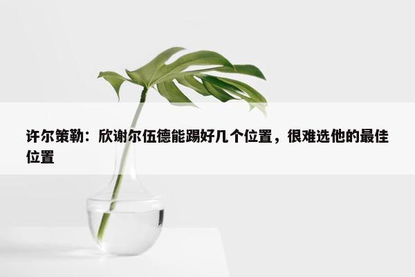 许尔策勒：欣谢尔伍德能踢好几个位置，很难选他的最佳位置