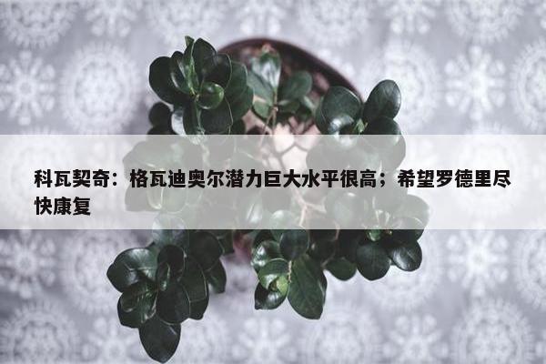 科瓦契奇：格瓦迪奥尔潜力巨大水平很高；希望罗德里尽快康复