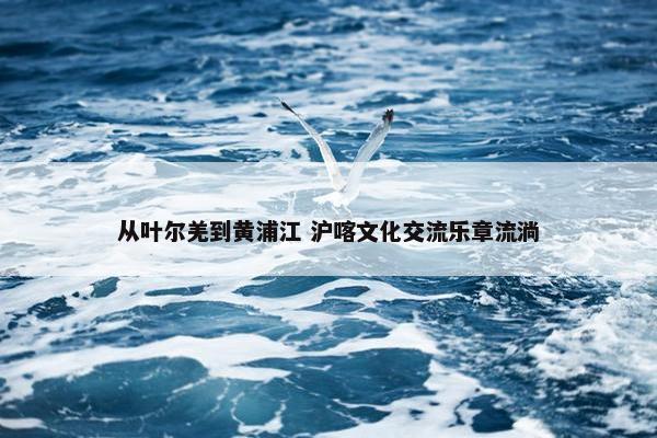 从叶尔羌到黄浦江 沪喀文化交流乐章流淌