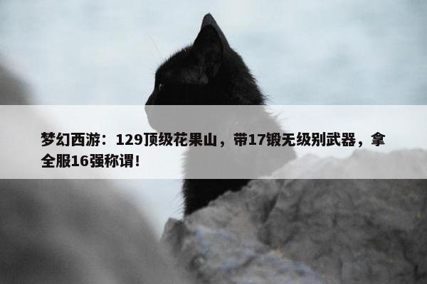 梦幻西游：129顶级花果山，带17锻无级别武器，拿全服16强称谓！