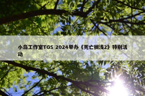 小岛工作室TGS 2024举办《死亡搁浅2》特别活动