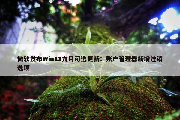 微软发布Win11九月可选更新：账户管理器新增注销选项