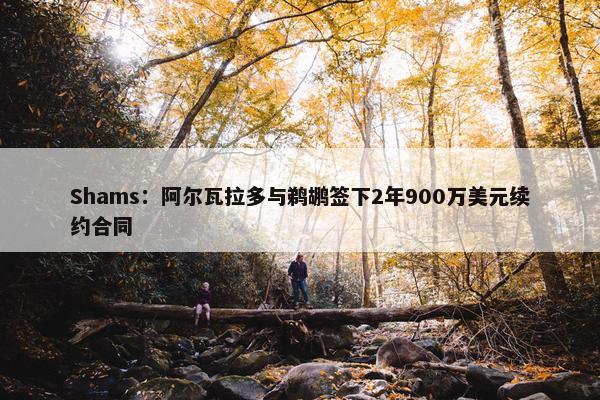 Shams：阿尔瓦拉多与鹈鹕签下2年900万美元续约合同