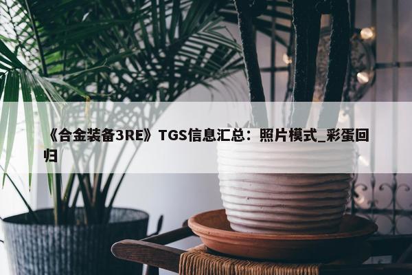 《合金装备3RE》TGS信息汇总：照片模式_彩蛋回归