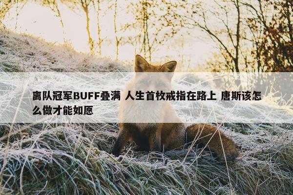 离队冠军BUFF叠满 人生首枚戒指在路上 唐斯该怎么做才能如愿