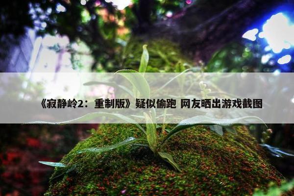 《寂静岭2：重制版》疑似偷跑 网友晒出游戏截图