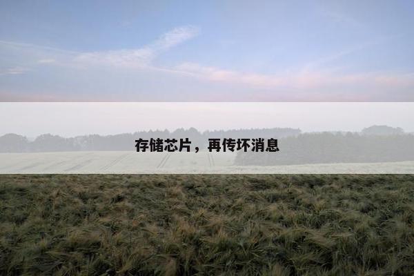 存储芯片，再传坏消息