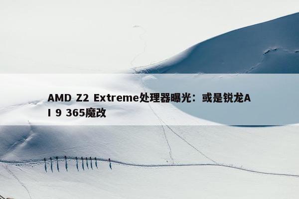 AMD Z2 Extreme处理器曝光：或是锐龙AI 9 365魔改