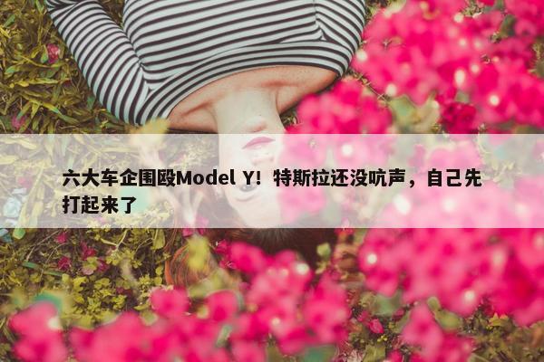 六大车企围殴Model Y！特斯拉还没吭声，自己先打起来了