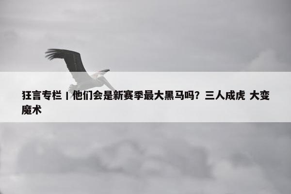 狂言专栏丨他们会是新赛季最大黑马吗？三人成虎 大变魔术