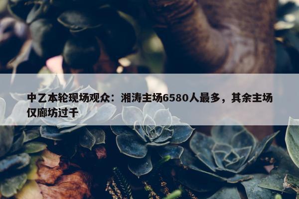 中乙本轮现场观众：湘涛主场6580人最多，其余主场仅廊坊过千