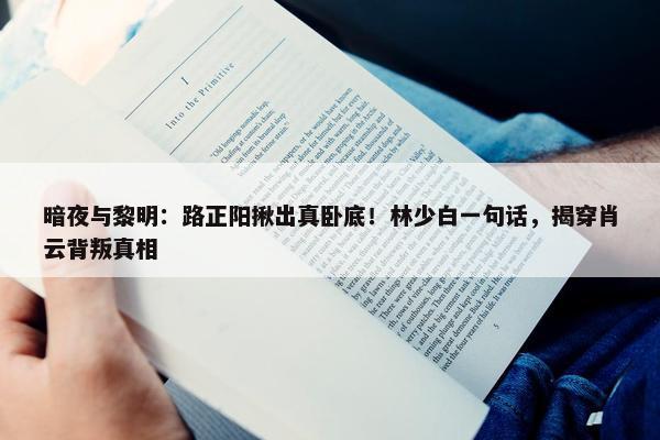 暗夜与黎明：路正阳揪出真卧底！林少白一句话，揭穿肖云背叛真相