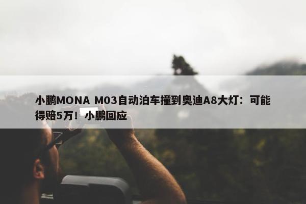 小鹏MONA M03自动泊车撞到奥迪A8大灯：可能得赔5万！小鹏回应