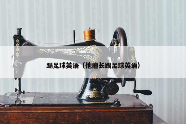 踢足球英语（他擅长踢足球英语）