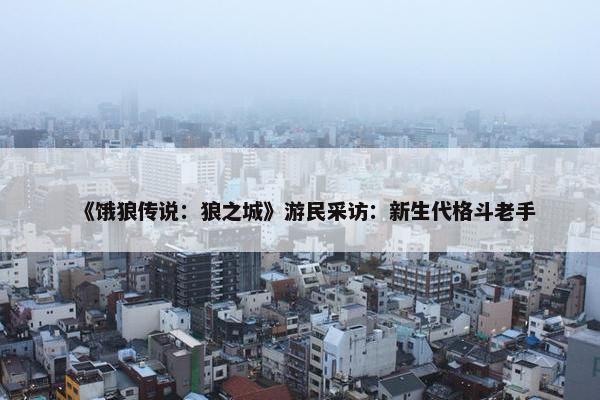 《饿狼传说：狼之城》游民采访：新生代格斗老手