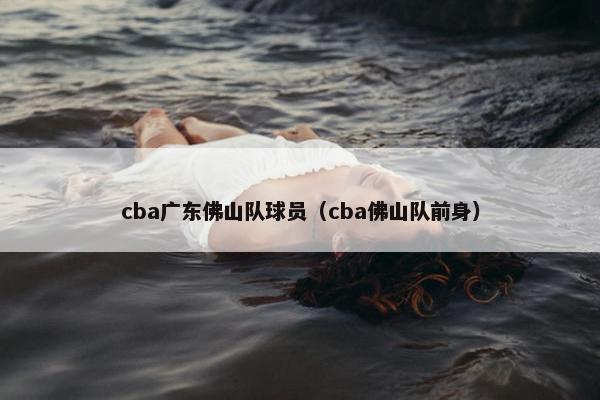 cba广东佛山队球员（cba佛山队前身）