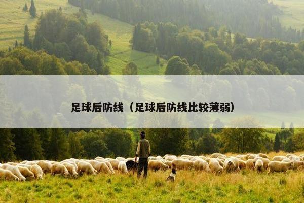 足球后防线（足球后防线比较薄弱）